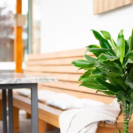 Gaestehaus Erika - By Mynests Guest house Schladming
