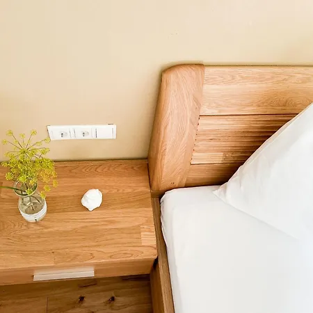 Gaestehaus Erika - By Mynests 4* Schladming