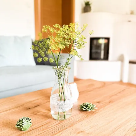 Gaestehaus Erika - By Mynests Maison d'hôtes Schladming