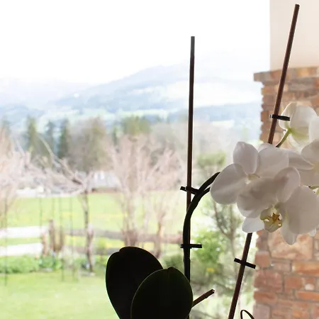 Gaestehaus Erika - By Mynests