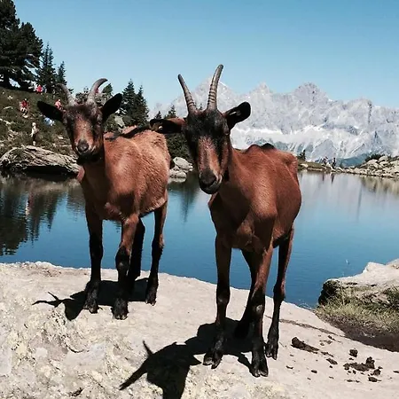 Gaestehaus Erika - By Mynests Maison d'hôtes