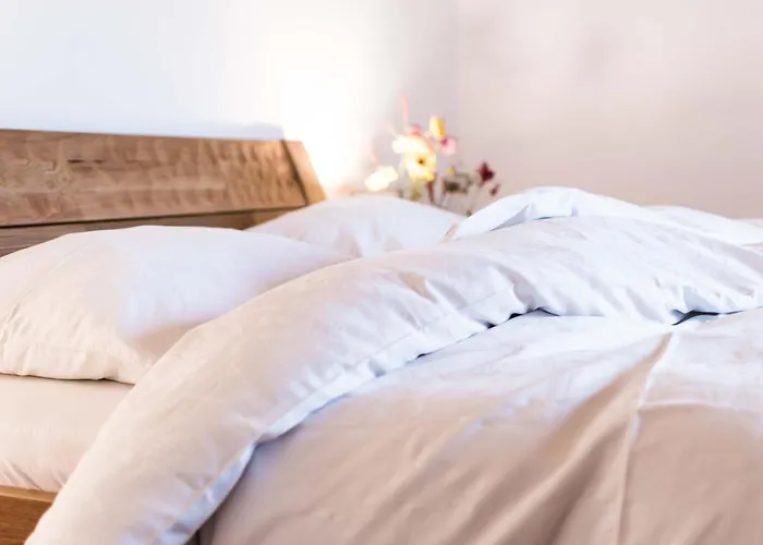 Guest house Gaestehaus Erika - By Mynests Schladming