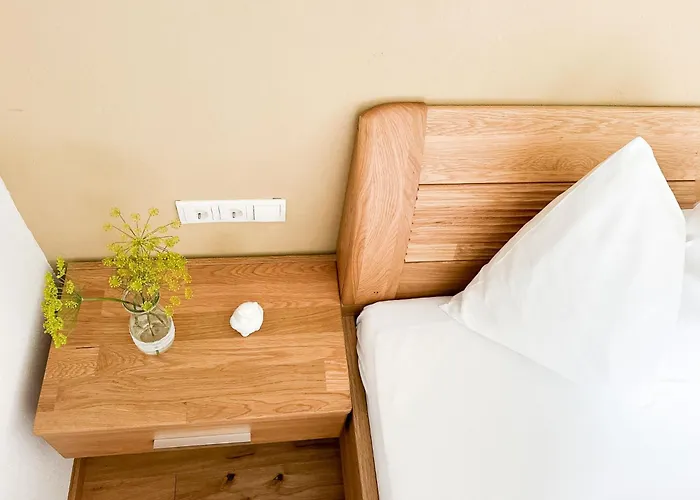 Gaestehaus Erika - By Mynests 4* Schladming