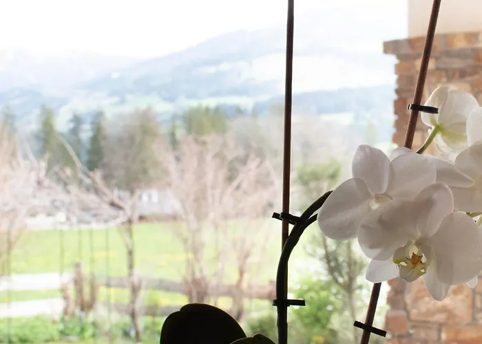 Gaestehaus Erika - By Mynests