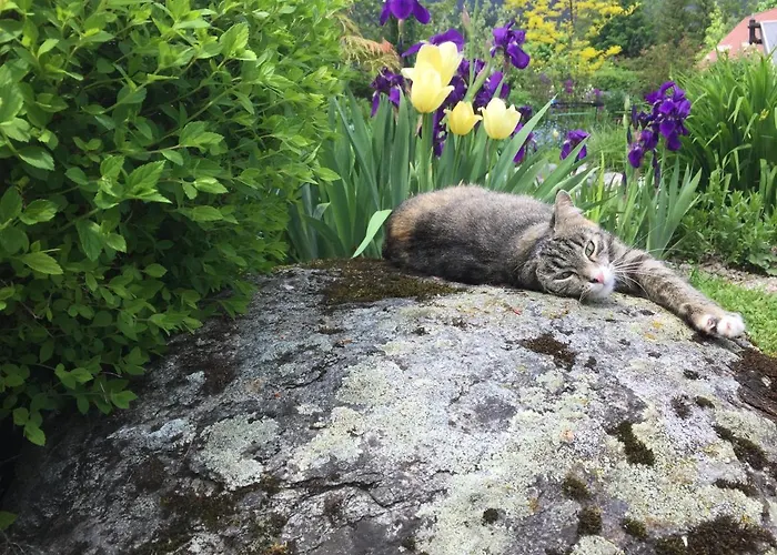 Gaestehaus Erika - By Mynests 4*