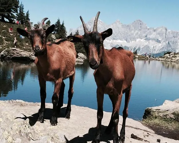 Gaestehaus Erika - By Mynests Gasthuis